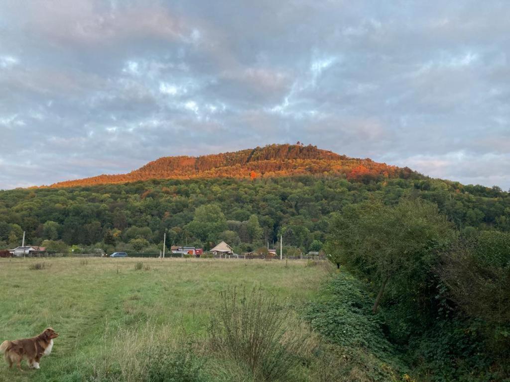 Jena Paradies Bagian luar foto